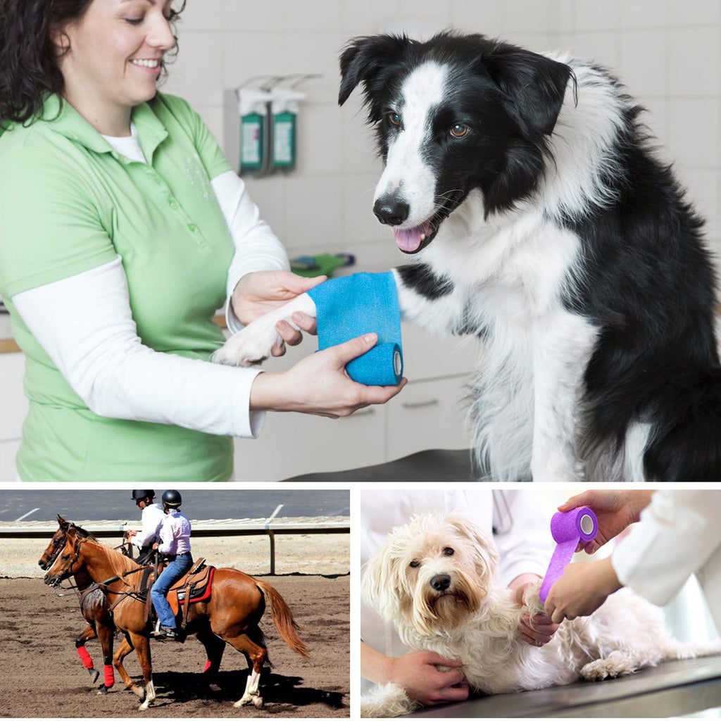 10 Pack Vet Wrap for Horses Dogs Cats,2 in x 5 Yards Self Adhesive Bandage Wrap
