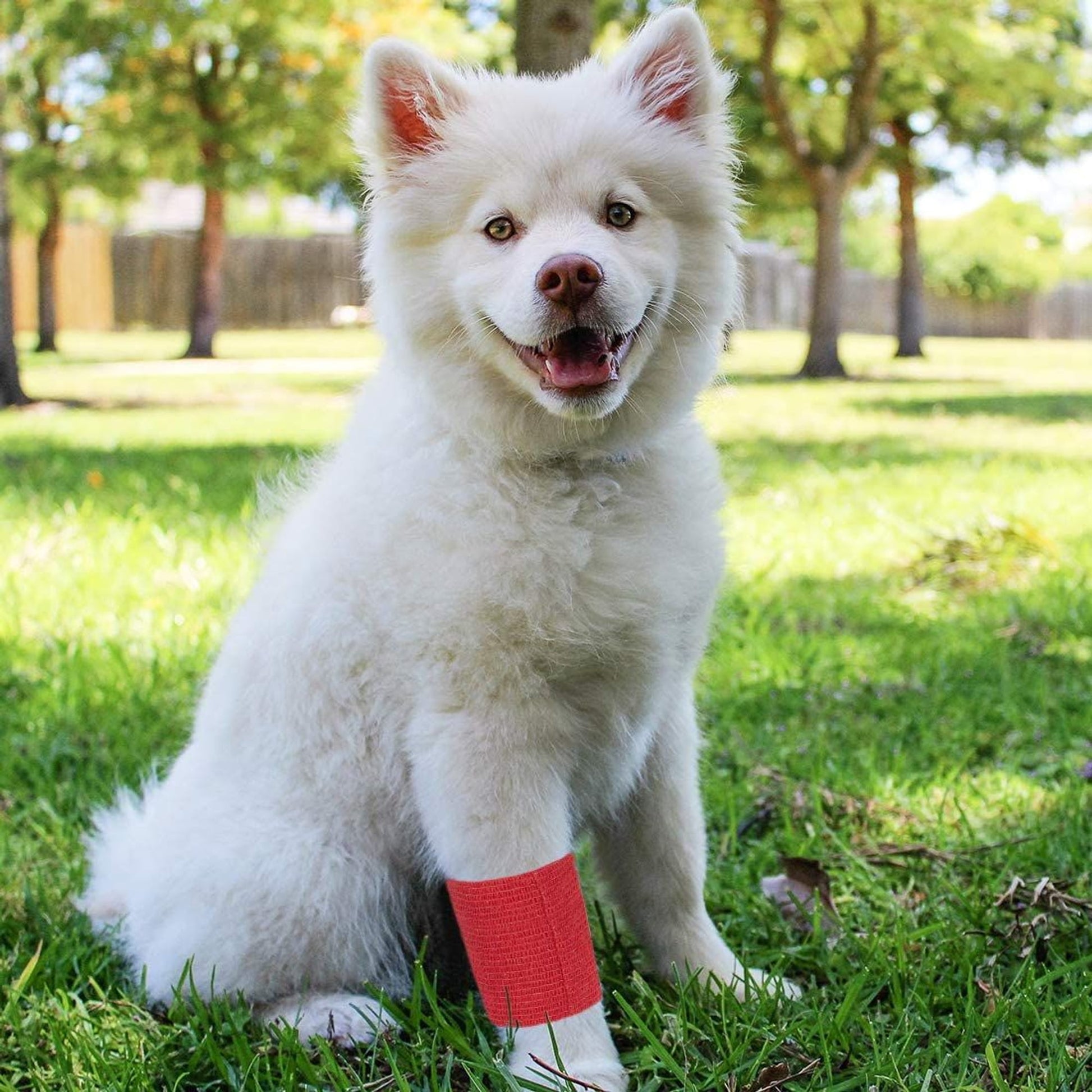 12 Pack Self Adhesive Bandage Wrap, 4 Inch x 5 Yards Elastic Cohesive Bandage, Flexible First Aid Medical Tape for Sports, Sprain Swelling and Soreness, Assorted Color